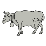 ANI151.png ANI151 - Image 1