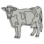 ANI155.png ANI155 - Image 1