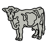 ANI156.png ANI156 - Image 1