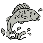 ANI195.png ANI195 - Image 1