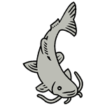 ANI201.png ANI201 - Image 1
