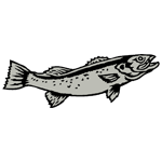 ANI203.png ANI203 - Image 1