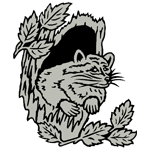 ANI211.png ANI211 - Image 1