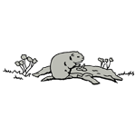 ANI213.png ANI213 - Image 1