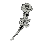 FLOR06.png FLOR06 - Image 1