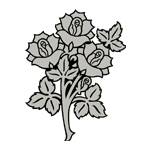 FLOR13.png FLOR13 - Image 1