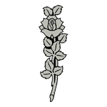 FLOR15.png FLOR15 - Image 1
