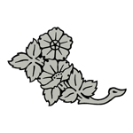 FLOR26.png FLOR26 - Image 1