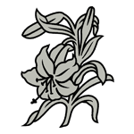 FLOR41.png FLOR41 - Image 1