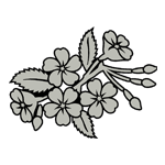 FLOR50.png FLOR50 - Image 1