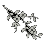 FLOR57.png FLOR57 - Image 1
