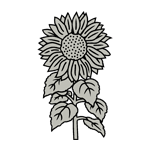 FLOR62.png FLOR62 - Image 1