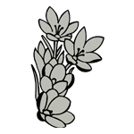 FLOR69.png FLOR69 - Image 1