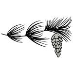 FLOR79.png FLOR79 - Image 1