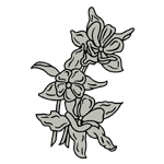 FLOR81.png FLOR81 - Image 1