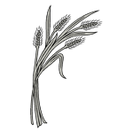 FLOR85.png FLOR85 - Image 1