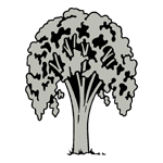 FLOR90.png FLOR90 - Image 1