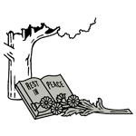 LANA18.png LANA18 - Image 1