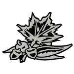 LANA25.png LANA25 - Image 1