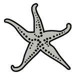 LANA33.png LANA33 - Image 1